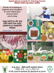 training-hygienic-goat-slaughter-meat-processing_Page_4